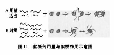 圖11絮凝劑用量與架橋作用示意圖