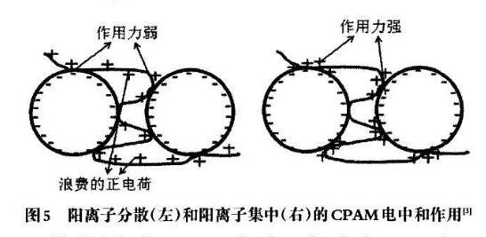 圖5陽離子分散（左）和陽離子集中（右）的CPAM電中和作用