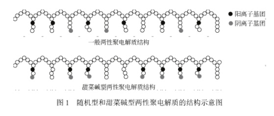 圖1 隨機型和甜菜堿型兩性聚電解質(zhì)的結(jié)構(gòu)示意圖