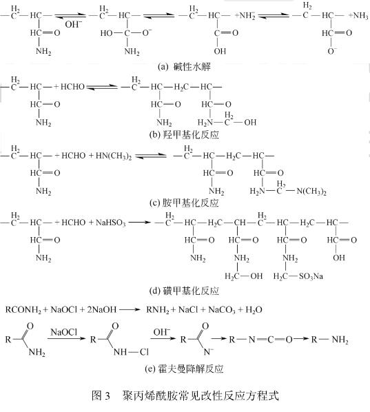 圖3 聚丙烯酰胺常見(jiàn)改性反應(yīng)方程式