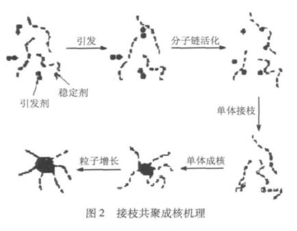 圖2 接枝共聚成核機(jī)理