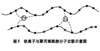 圖5鐵離子與聚丙烯酰胺分子交聯(lián)示意圖